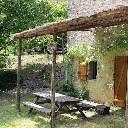 Maison De Vignes De Tournemire Tournemire  Extérieur photo