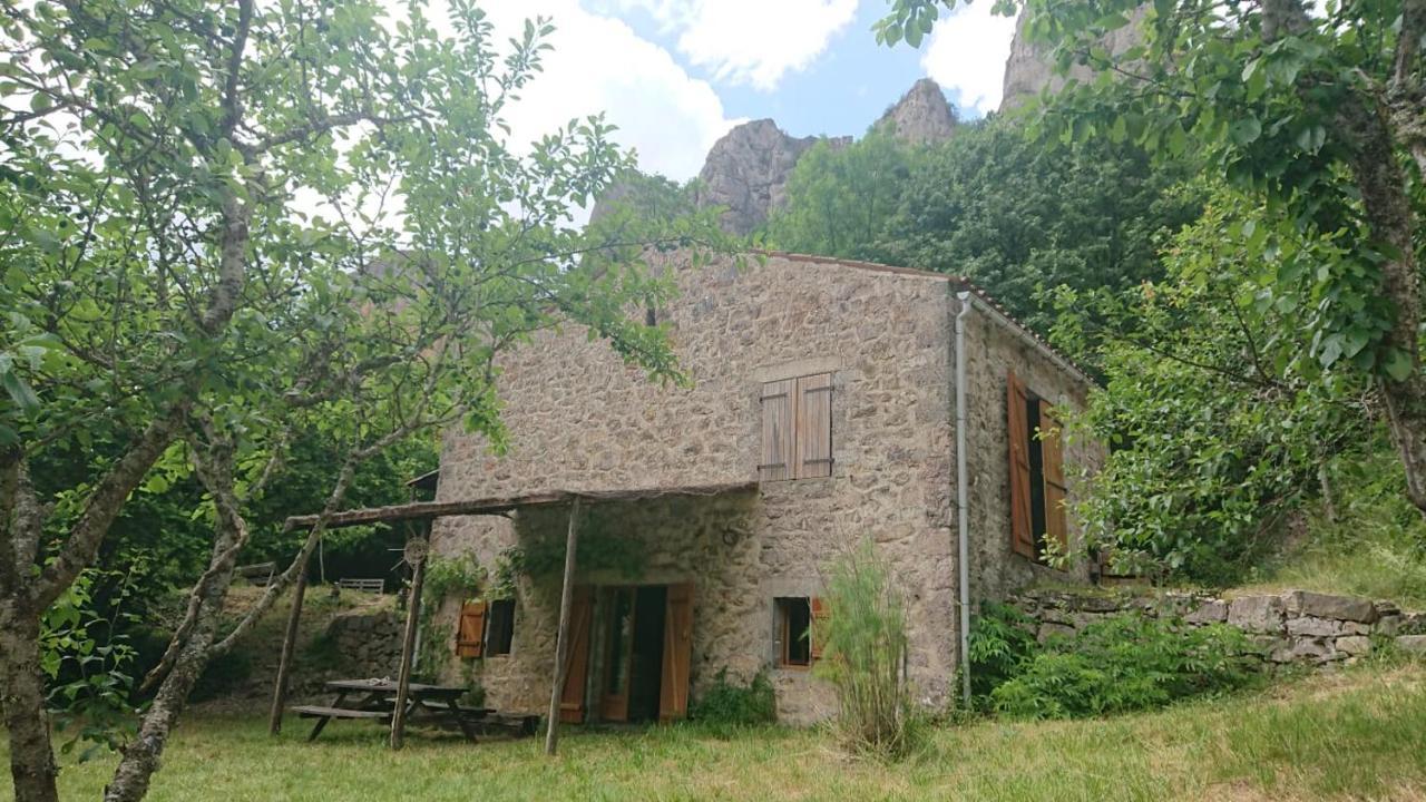 Maison De Vignes De Tournemire Tournemire  Extérieur photo